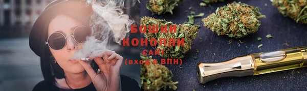 гидропоника Бородино