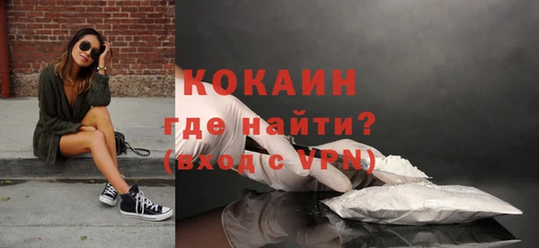 индика Бронницы