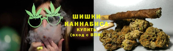 гидропоника Бородино
