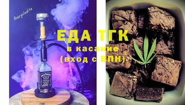 индика Бронницы