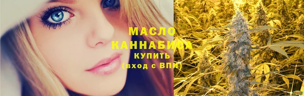 индика Бронницы