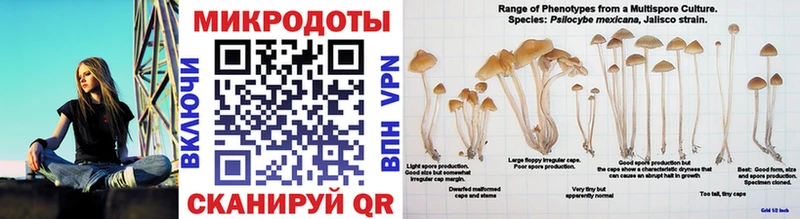 Галлюциногенные грибы ЛСД  Верхняя Пышма 