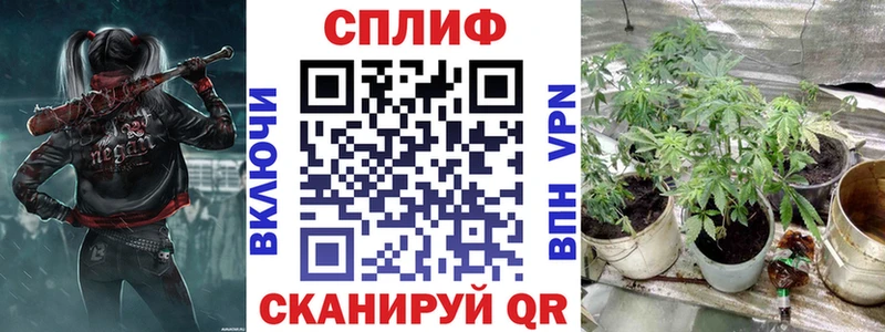 Каннабис OG Kush Верхняя Пышма